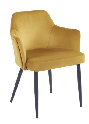 Silla Profesional para Hostelería Terciopelo Victoria Reposabrazos