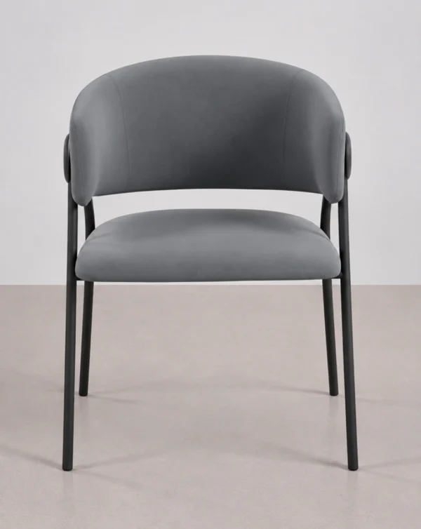 chaise en similicuir de salon